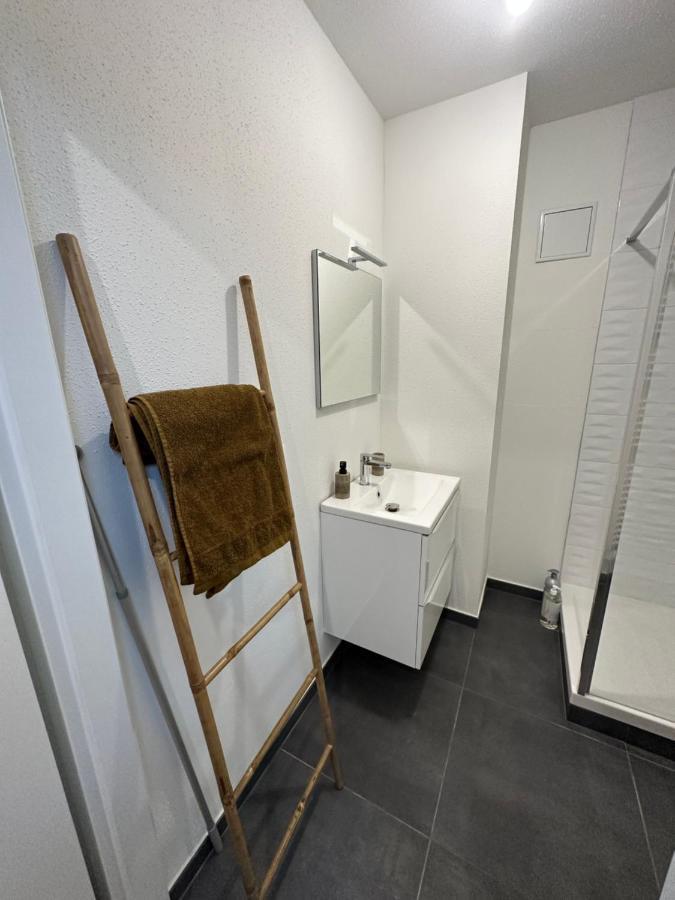 Appartement Atypique Proche Gare/ Dans L'Hyper-Centre Spacieux Pour 6P Au Coeur De 뮐루즈 외부 사진